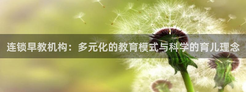 天顺娱乐械675138：连锁早教机构：多元化的教育模式与科学的育儿理念