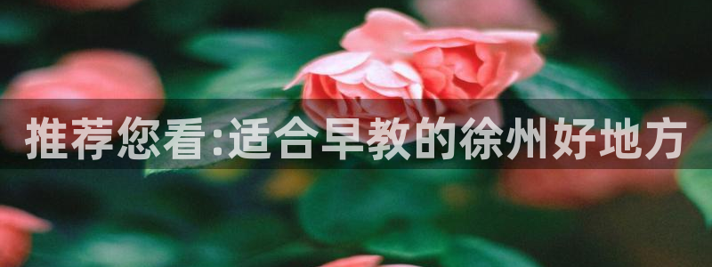 天顺娱乐就32OO59：推荐您看:适合早教的徐州好地方