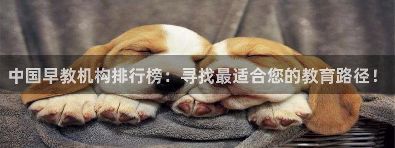 天顺娱乐迸943994：中国早教机构排行榜：寻找最适合您的教育路径！