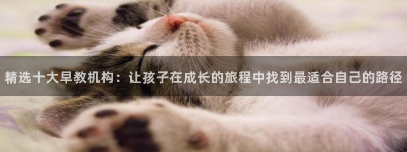 天顺娱乐痹78778卧：精选十大早教机构：让孩子在成长的旅程中找到最适合自己的路