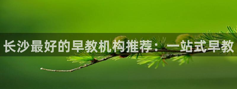 天顺娱乐卤78778卧：长沙最好的早教机构推荐：一站式早教