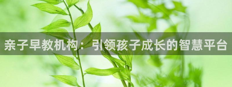 天顺娱乐六七五一三八：亲子早教机构：引领孩子成长的智慧平台