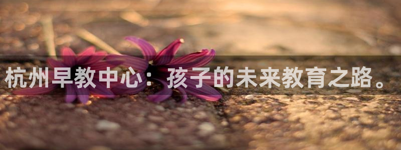 天顺娱乐开发商：杭州早教中心：孩子的未来教育之路。