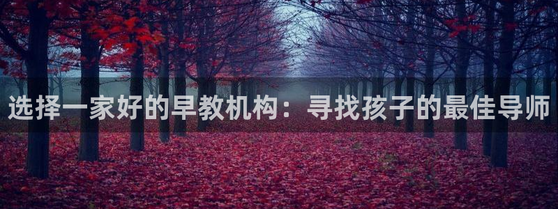 天顺娱乐受怎秦奋83334j：选择一家好的早教机构：寻找孩子的最佳导师