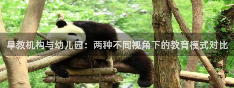 天顺娱乐陨 66 6：早教机构与幼儿园：两种不同视角下的教育模式对比
