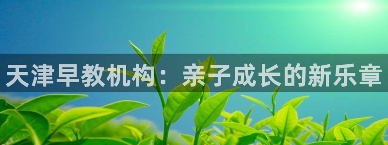 天顺娱乐棋牌怎么样：天津早教机构：亲子成长的新乐章