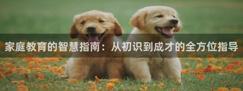 天顺娱乐阶943994：家庭教育的智慧指南：从初识到成才的全方位指导