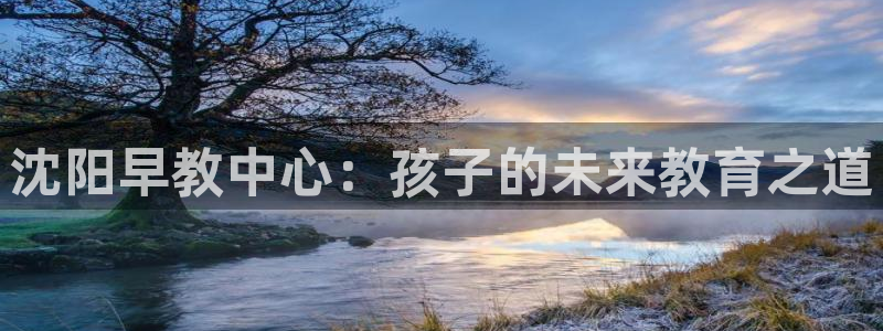 天顺娱乐关943994：沈阳早教中心：孩子的未来教育之道