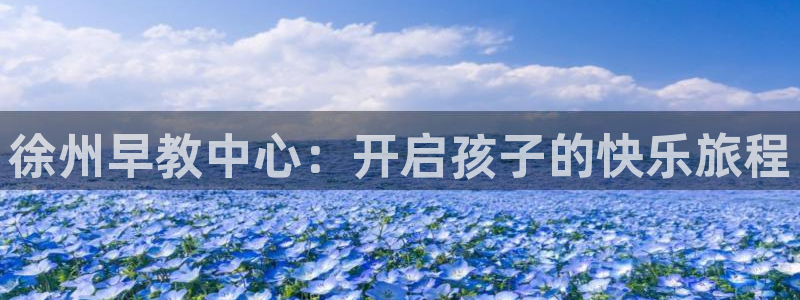 天顺娱乐湛 66 6：徐州早教中心：开启孩子的快乐旅程