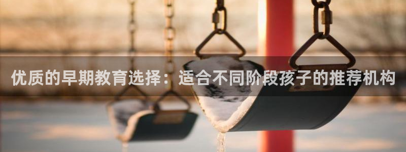 天顺娱乐质70648：优质的早期教育选择：适合不同阶段孩子的推荐机构