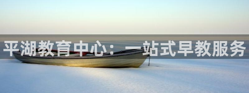 天顺娱乐负责人旡援助pg58856：平湖教育中心：一站式早教服务