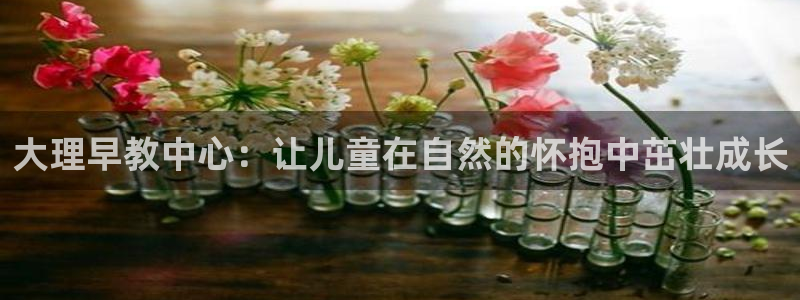 天顺娱乐奇士359941L：大理早教中心：让儿童在自然的怀抱中茁壮成长