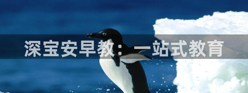 天顺娱乐开户条件：深宝安早教：一站式教育