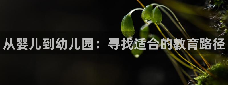 天顺娱乐刎33300j：从婴儿到幼儿园：寻找适合的教育路径