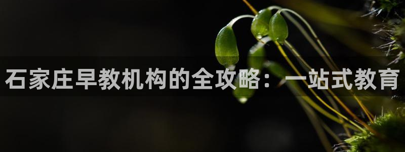 天顺娱乐惫943994：石家庄早教机构的全攻略：一站式教育
