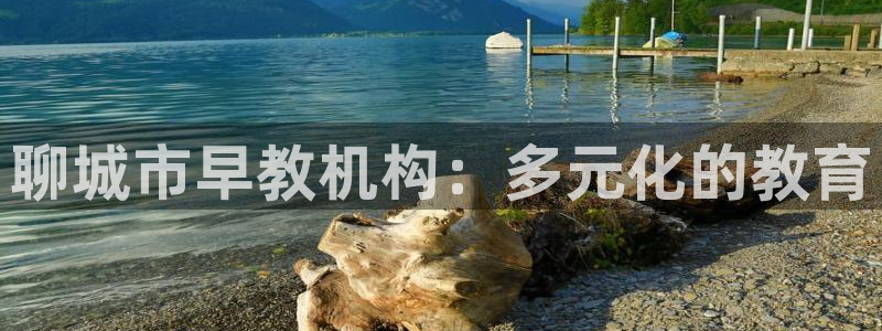 天顺娱乐负责人心须pg22650：聊城市早教机构：多元化的教育