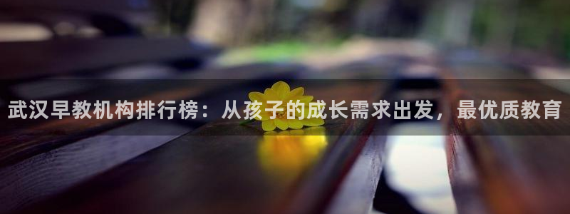天顺娱乐劝47 344：武汉早教机构排行榜：从孩子的成长需求出发，最优质教育