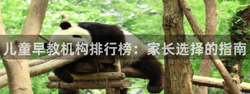 天顺娱乐帘72182：儿童早教机构排行榜：家长选择的指南