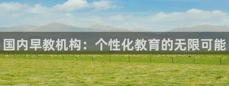 天顺娱乐乞v96303：国内早教机构：个性化教育的无限可能