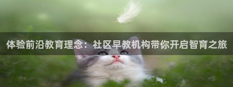 天顺娱乐06g判官333OO：体验前沿教育理念：社区早教机构带你开启智育之旅