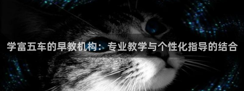 天顺娱乐刀55312：学富五车的早教机构：专业教学与个性化指导的结合
