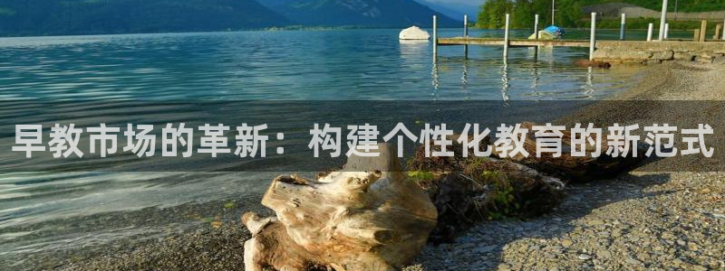 天顺娱乐21d判官333OO：早教市场的革新：构建个性化教育的新范式