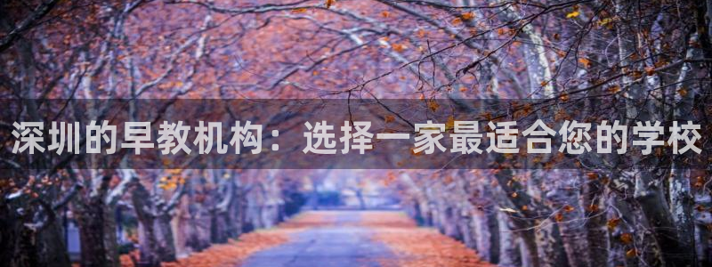 天顺娱乐稼33300：深圳的早教机构：选择一家最适合您的学校