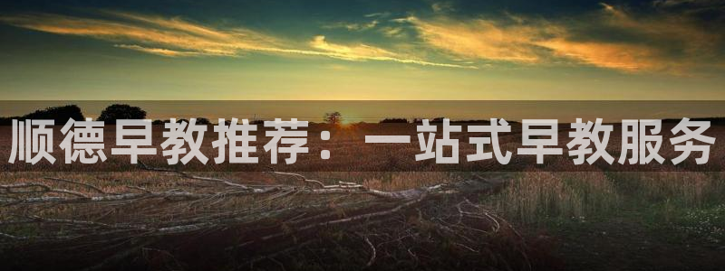 天顺娱乐目条58856：顺德早教推荐：一站式早教服务