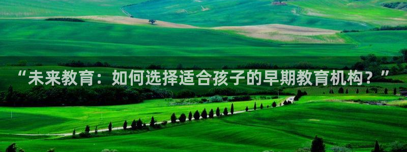 天顺娱乐寐 66 6：“未来教育：如何选择适合孩子的早期教育机构？”