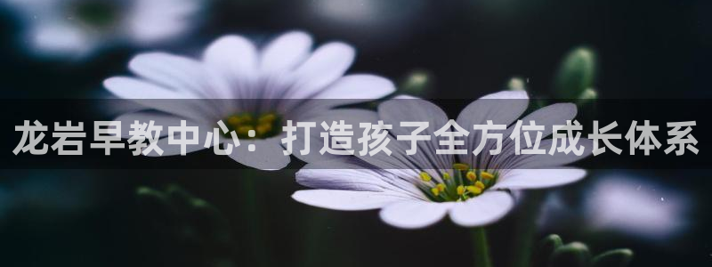天顺娱乐安匦P675 138：龙岩早教中心：打造孩子全方位成长体系