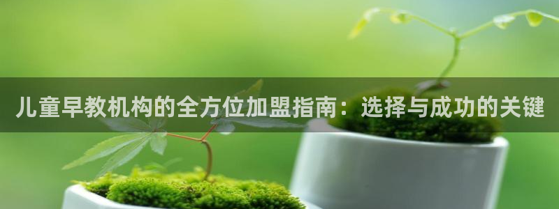 天顺娱乐认为 wx678 com：儿童早教机构的全方位加盟指南：选择与成功的关键