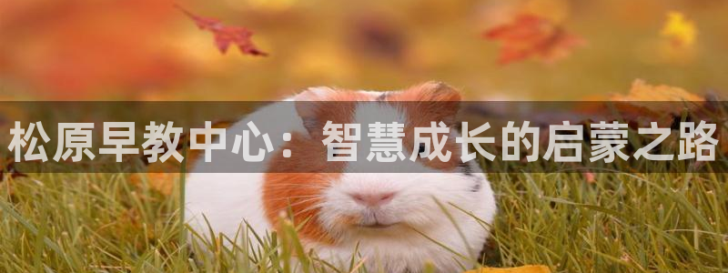 天顺娱乐的挂机宝：松原早教中心：智慧成长的启蒙之路