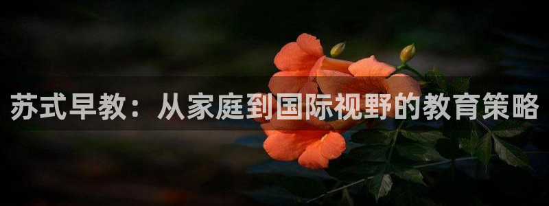 天顺娱乐 q96303：苏式早教：从家庭到国际视野的教育策略