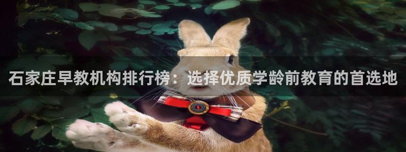 天顺娱乐平台登录线路：石家庄早教机构排行榜：选择优质学龄前教育的首选地