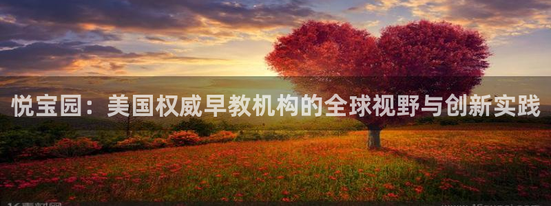 瑞丽天顺娱乐会所：悦宝园：美国权威早教机构的全球视野与创新实践