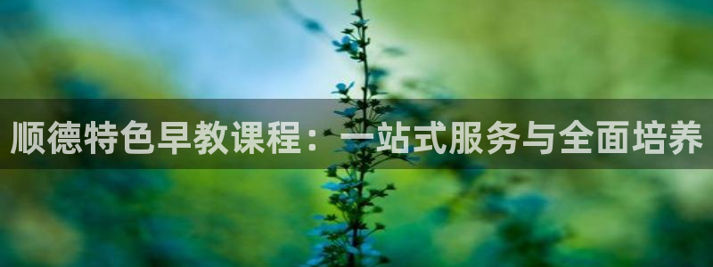 天顺娱乐主管着：顺德特色早教课程：一站式服务与全面培养