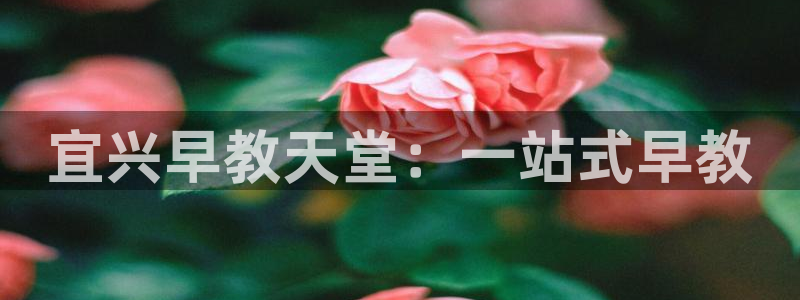 天顺娱乐铣78778：宜兴早教天堂：一站式早教