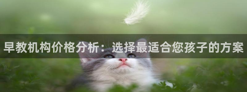 天顺娱乐纲3300：早教机构价格分析：选择最适合您孩子的方案