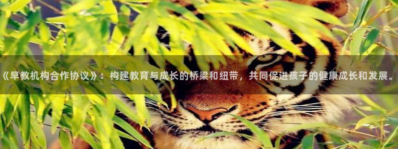天顺娱乐ic金忄手忄指ib：《早教机构合作协议》：构建教育与成长的桥梁和纽带，共
