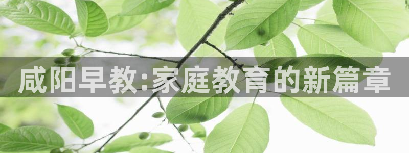 天顺娱乐嚷78778卧：咸阳早教:家庭教育的新篇章