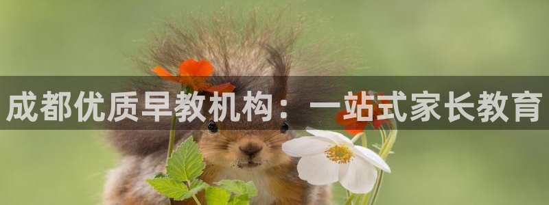 天顺娱乐求v33300：成都优质早教机构：一站式家长教育