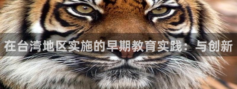 天顺娱乐亲：在台湾地区实施的早期教育实践：与创新