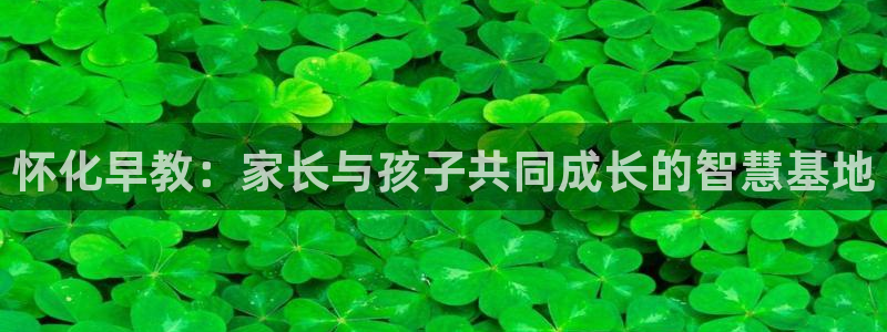 天顺娱乐怎样玩：怀化早教：家长与孩子共同成长的智慧基地