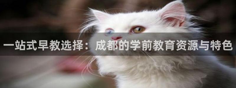 汝城天顺娱乐会所地址：一站式早教选择：成都的学前教育资源与特色