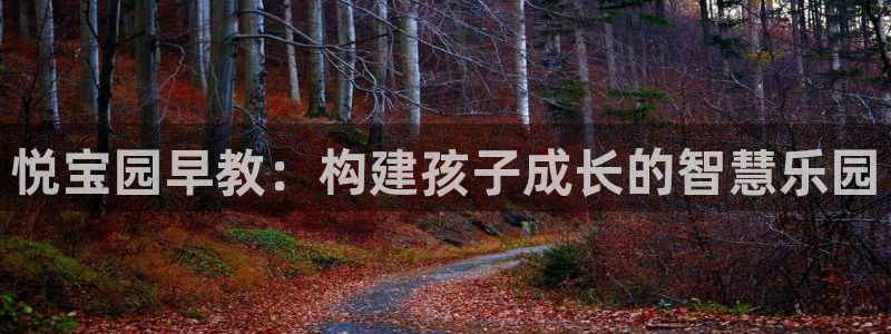 天顺娱乐登陆网址：悦宝园早教：构建孩子成长的智慧乐园