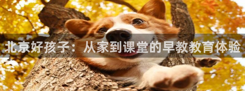 天顺娱乐负责人舌邈pg22650：北京好孩子：从家到课堂的早教教育体验
