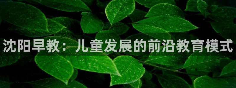 天顺娱乐员78778卧：沈阳早教：儿童发展的前沿教育模式