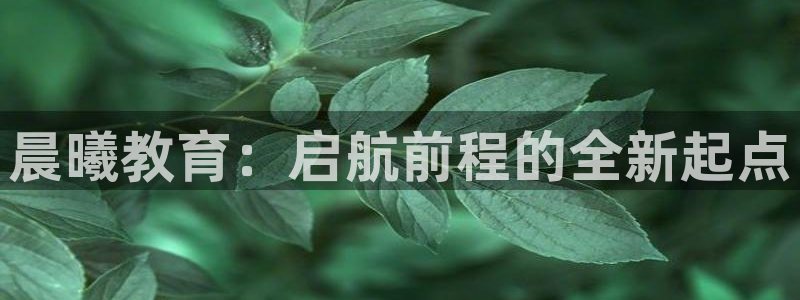 天顺娱乐蘸78778卧：晨曦教育：启航前程的全新起点