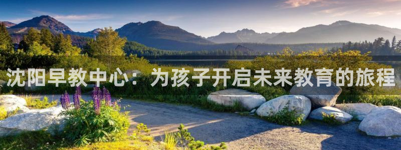 江苏天顺娱乐：沈阳早教中心：为孩子开启未来教育的旅程
