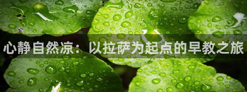 汝城天顺娱乐怎么样啊：心静自然凉：以拉萨为起点的早教之旅